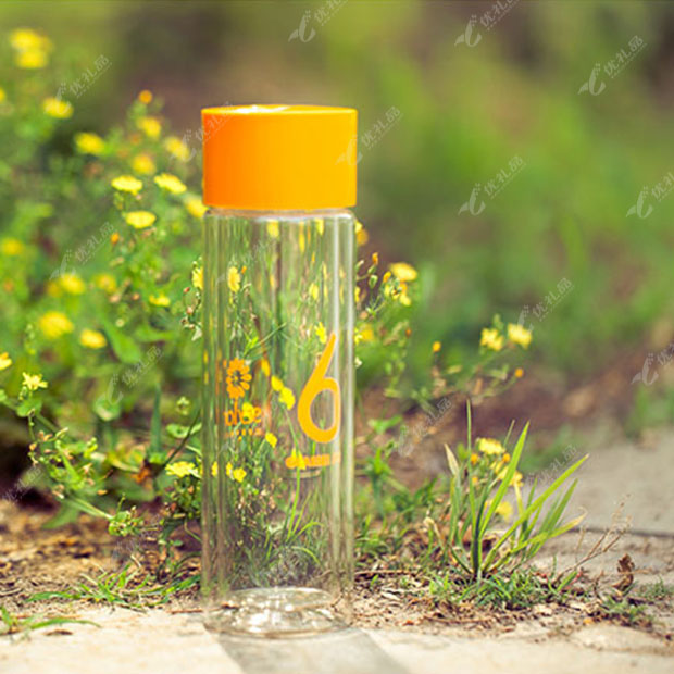 Stylor/法国花色6杯水保温防漏 双层随身带盖茶水杯