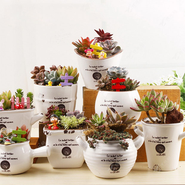 植物花盆创意手绘陶瓷 家居杂货小花盆