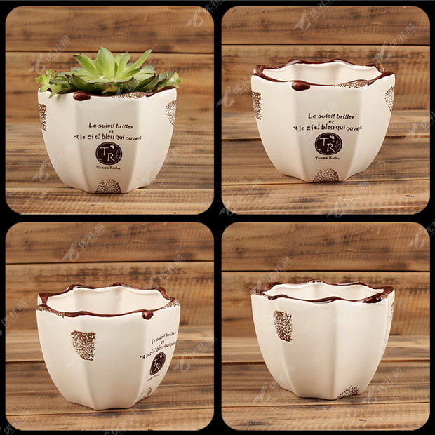 植物花盆创意手绘陶瓷 家居杂货小花盆