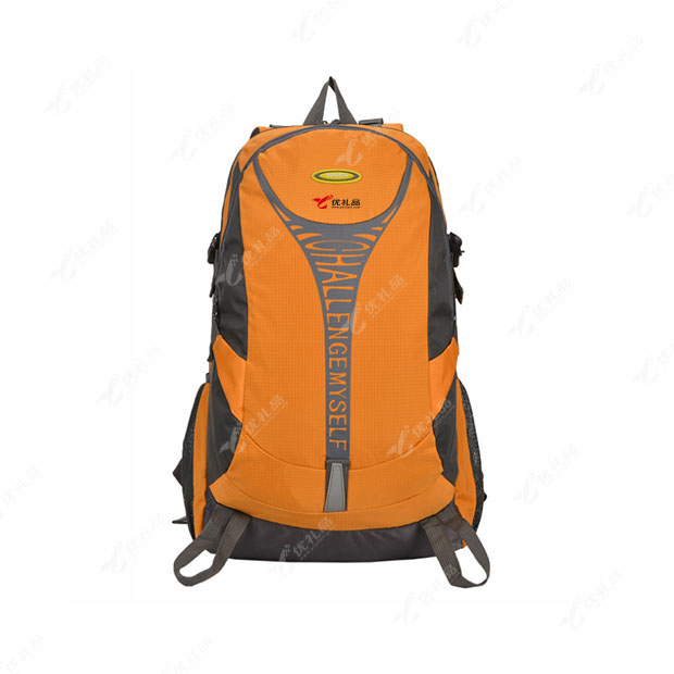 时尚户外登山包 旅行双肩包定制