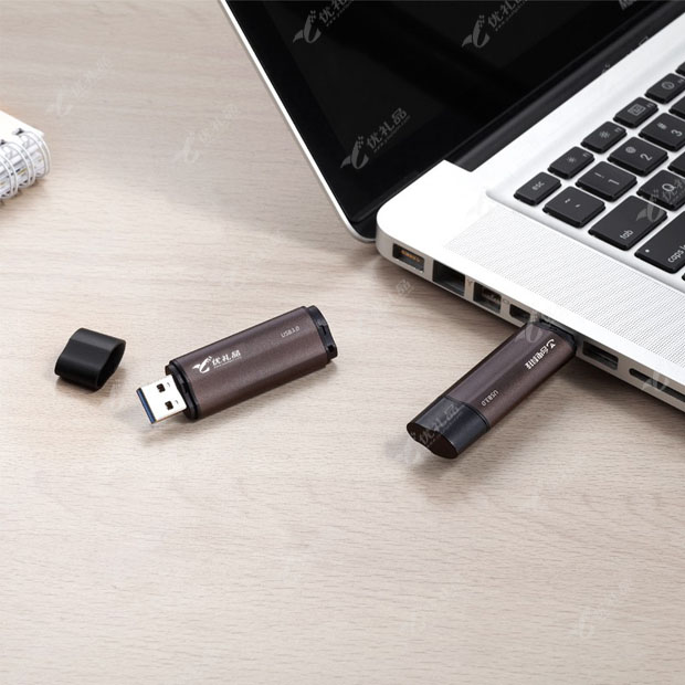 台电(Teclast) 骑士 U盘