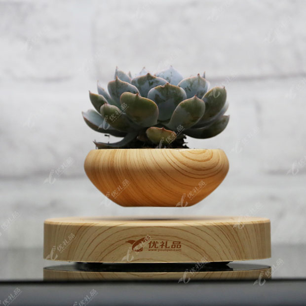 磁悬浮盆栽 植物花盆实木摆件