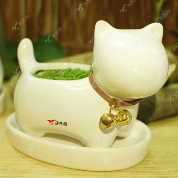 咪星人 迷你农场种草桌面植物