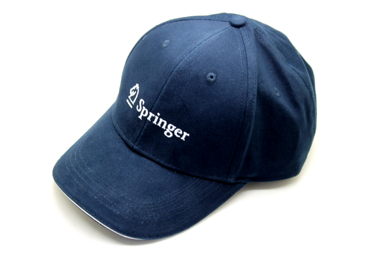 Springer 施普林格礼品案例