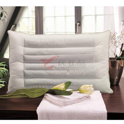 张柏芝代言南方寝饰荞麦枕定制