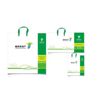 小中手提袋 手提纸袋定制