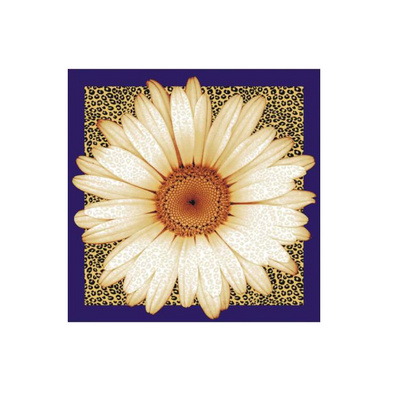 绽放 与守候蚕丝围巾丝巾 aurora正品定制