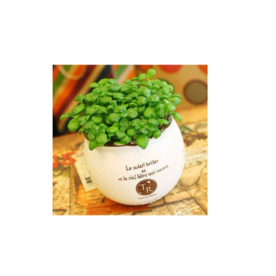  陶瓷复古盆栽花盆定制