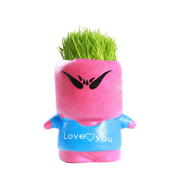 淘气郎草娃娃 长草娃 活草娃娃四季可种易种易发芽