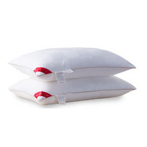 张柏芝代言南方寝饰馨梦贴心枕定制