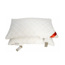 张柏芝代言南方寝饰健康减压枕定制