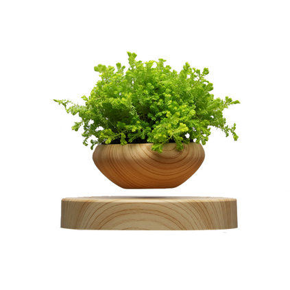 磁悬浮盆栽 植物花盆实木摆件悬空 花盆无植物定制