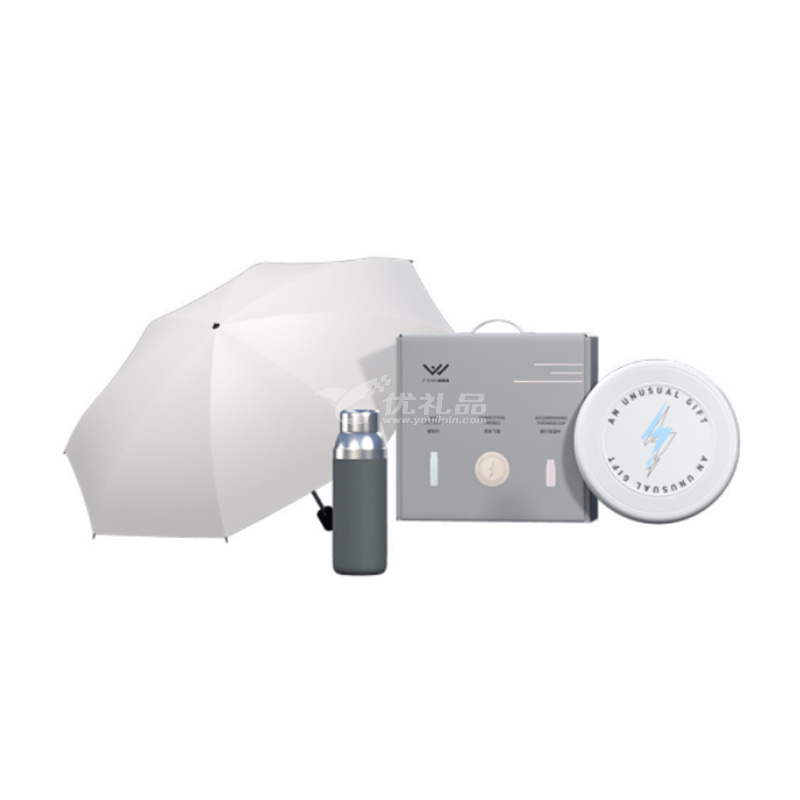 非物至夏户外休闲套装 FW-T851保温杯折叠雨伞飞盘户外套装定制
