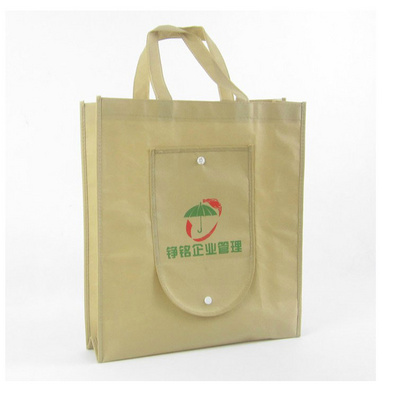 Logo Printing Foldable Non Woven Bag Shopping Bag