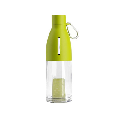 Portable Glass Water Bottle with Tea Filter