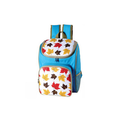 Oxford Cloth Apollo Picnic Backpack Lunch Bag Custom