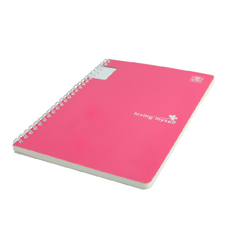 Color Series Fashion Spiral Notebook B5 80pages Business Gifts