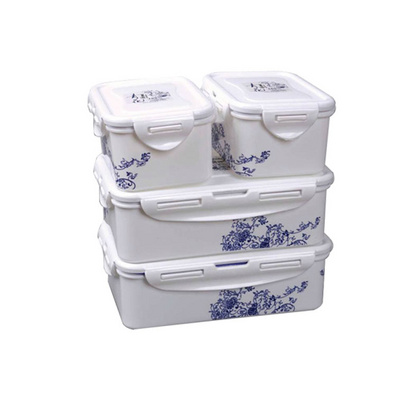 Blue and White Plastic Preserving Lunch Box