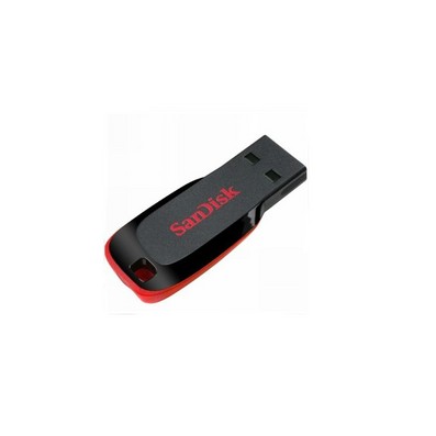 Sandisk 4GB Cruzer Flash Drive Custom