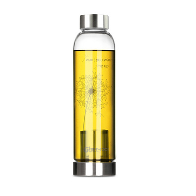550ml Tea Filter Heat Resistant Glass Traveling Water Bottle