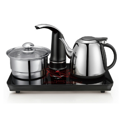 Royal Star Fast Boiled 1.0L Electric Tea Water Kettle