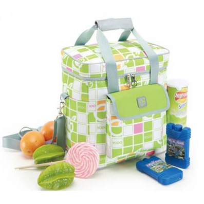 Advertising Lunch Bag Picnic Cold Insulation Bag